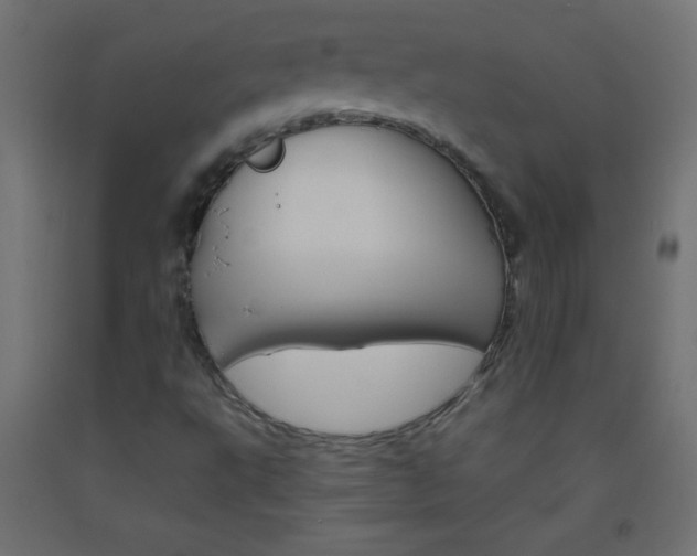 X0000093521495200710121117
