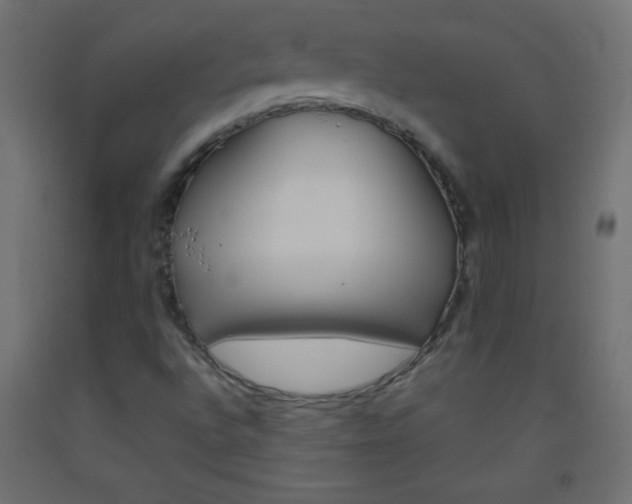 X0000093521496200710121117