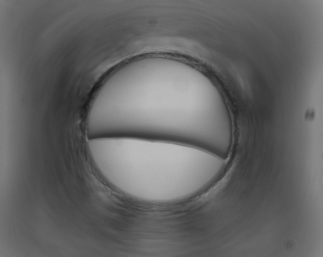 X0000093521497200710121117
