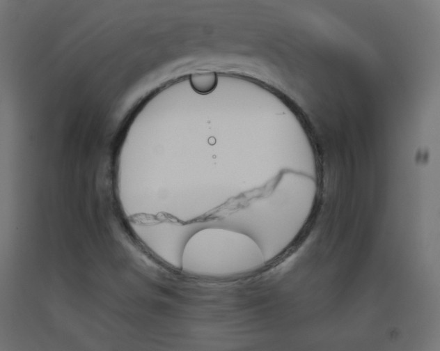 X0000093521498200710121117