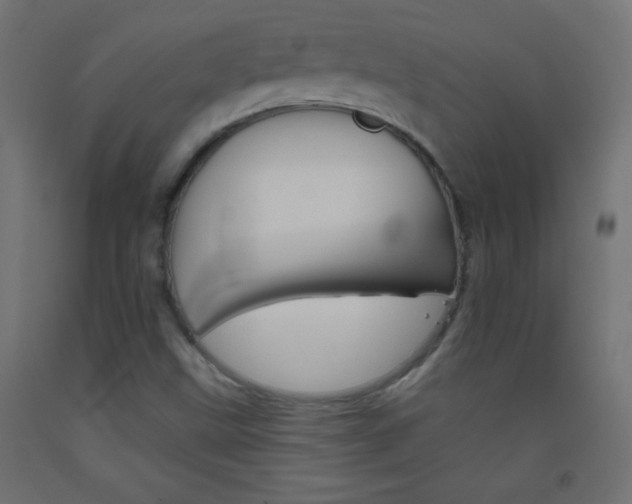 X0000093521499200710121117