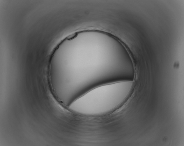 X0000093521500200710121117