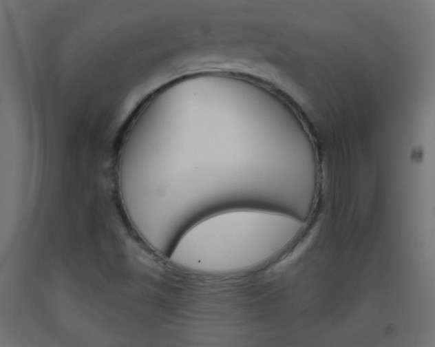 X0000093521501200710121117