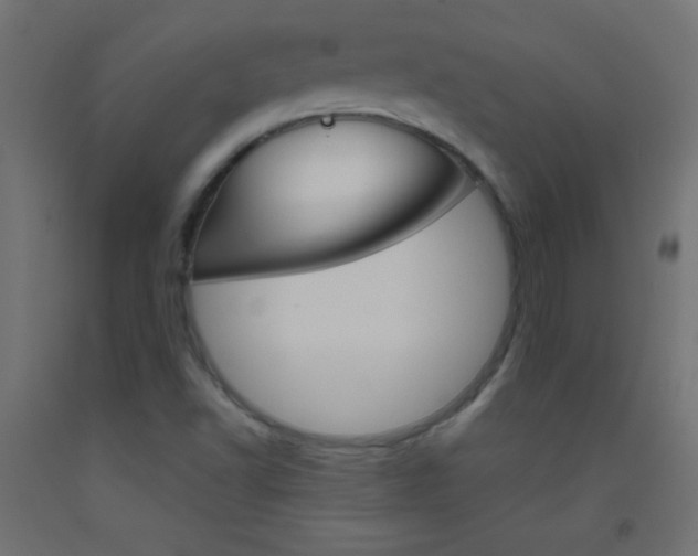 X0000093521502200710121117