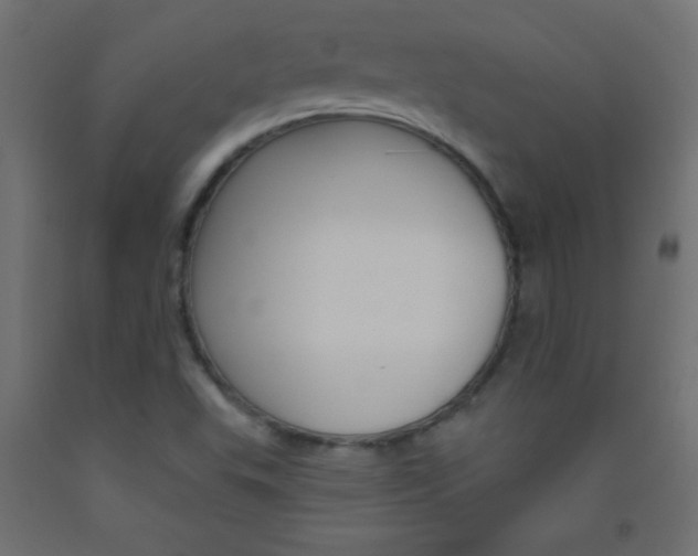 X0000093521503200710121117