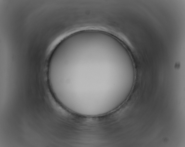 X0000093521504200710121117