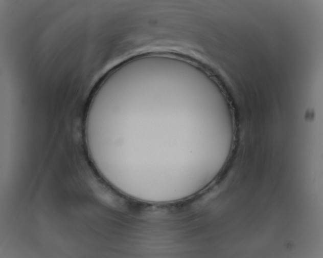 X0000093521505200710121117
