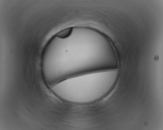 X0000093521506200710121117