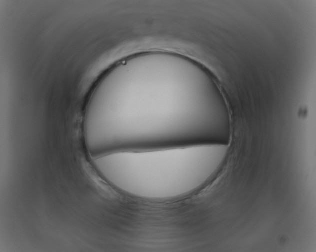 X0000093521507200710121117