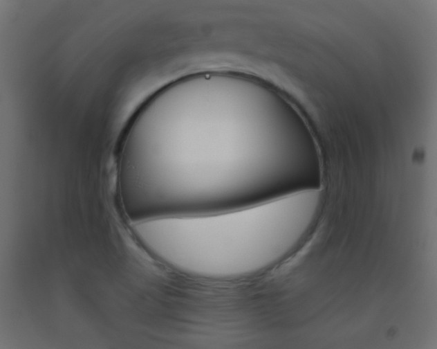 X0000093521509200710121117