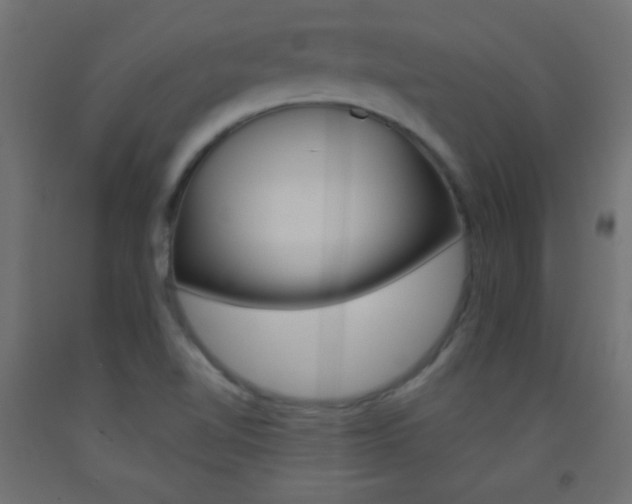 X0000093521510200710121117