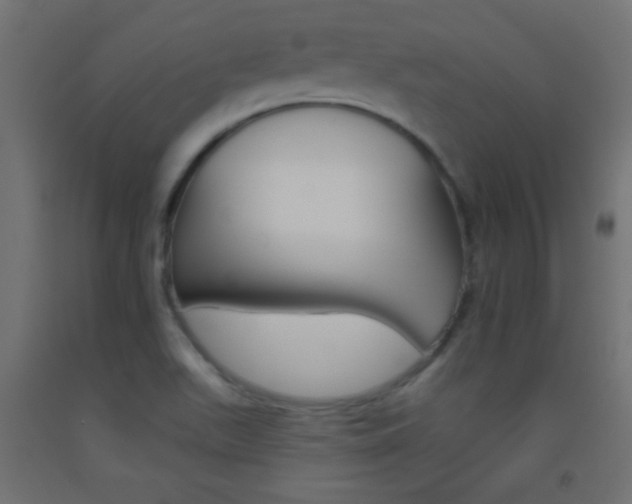 X0000093521511200710121117