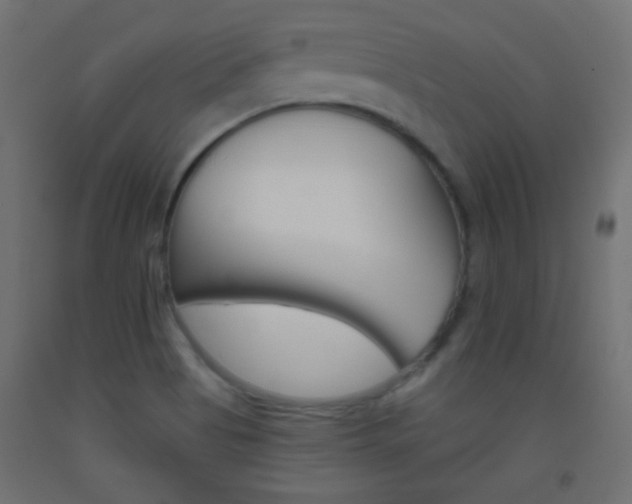 X0000093521513200710121117