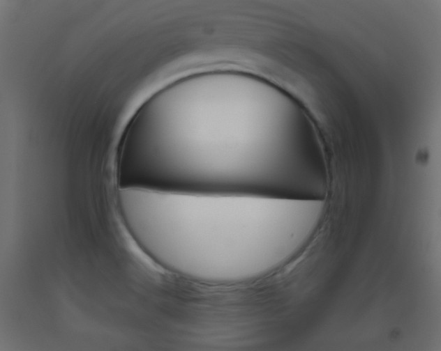 X0000093521516200710121117