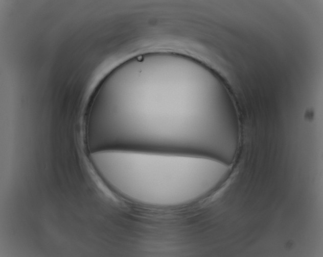 X0000093521517200710121117