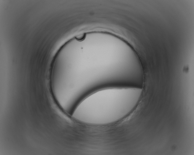 X0000093521518200710121117