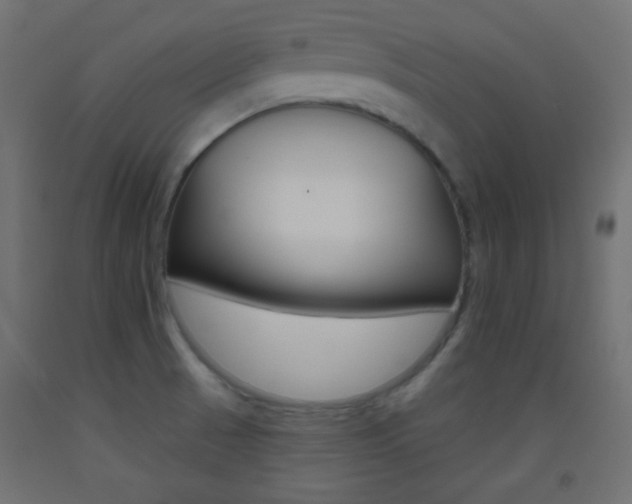 X0000093521521200710121117
