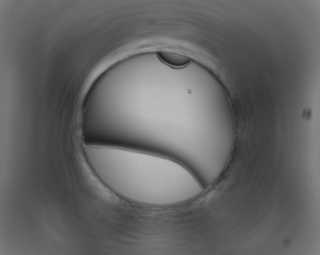 X0000093521522200710121117