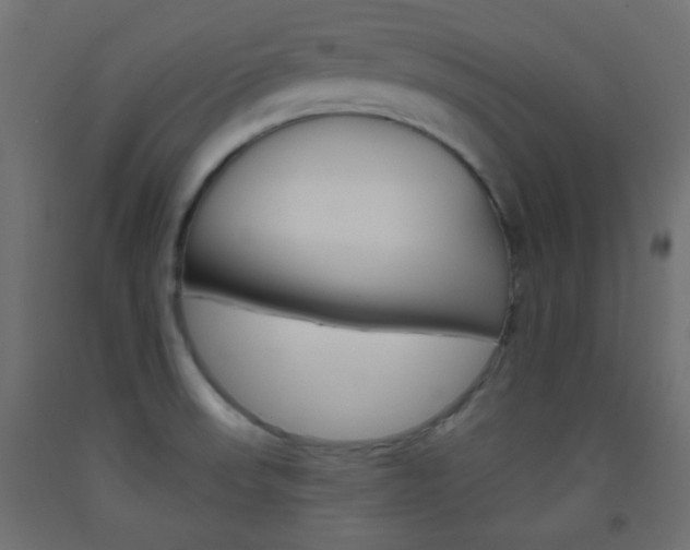 X0000093521523200710121117