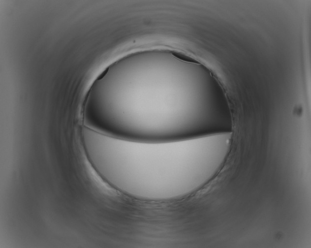 X0000093521524200710121117