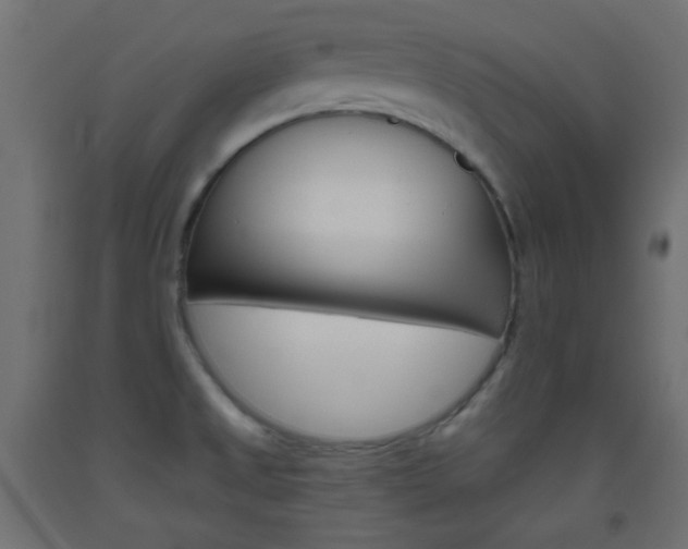 X0000093521525200710121117
