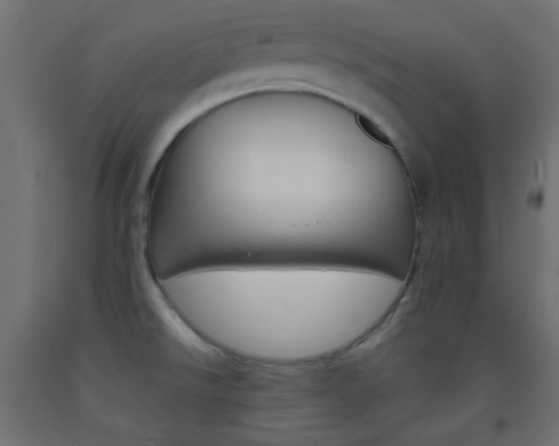 X0000093521526200710121117