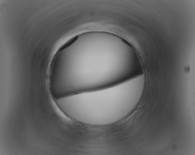 X0000093521528200710121117