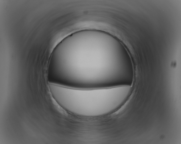 X0000093521529200710121117