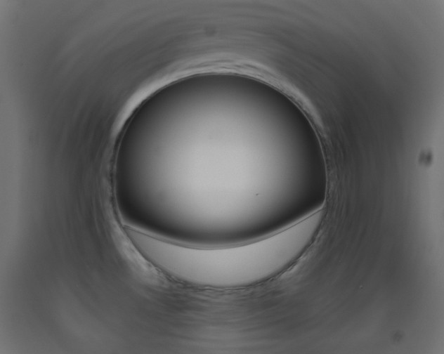 X0000093521530200710121117
