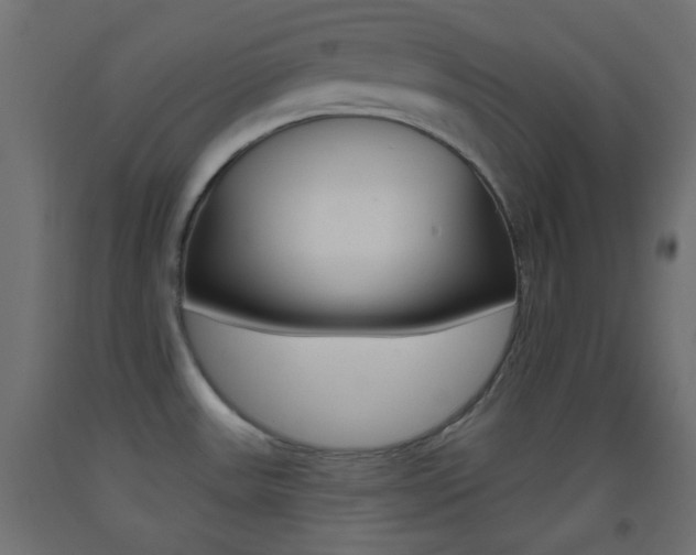 X0000093521531200710121117