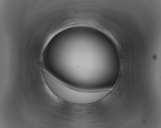 X0000093521532200710121117