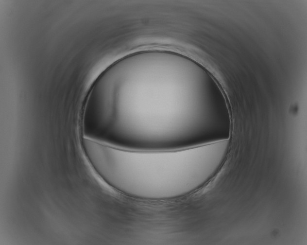 X0000093521533200710121117