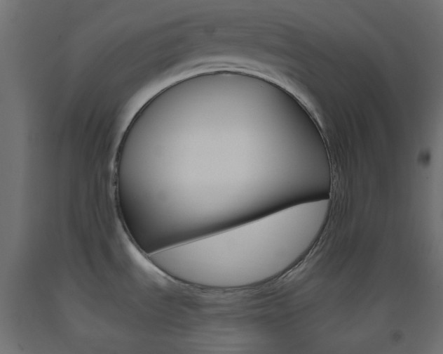 X0000093521535200710121117