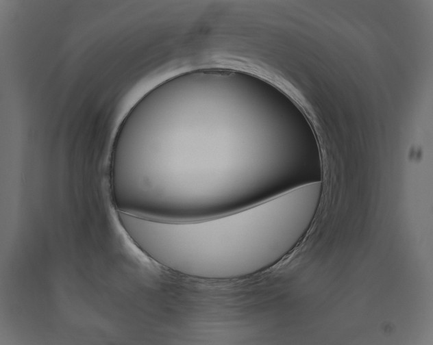 X0000093521536200710121117