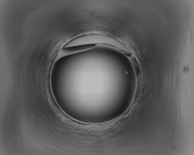 X0000093520001200710121554