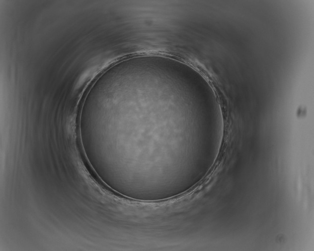 X0000093520002200710121554