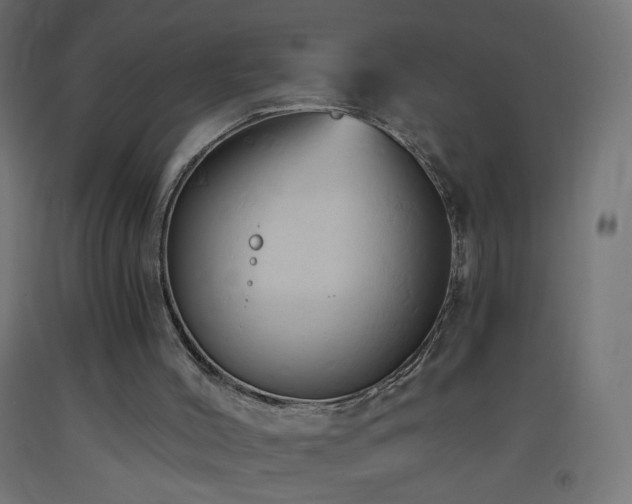 X0000093520004200710121554