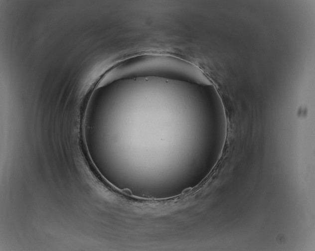 X0000093520005200710121554