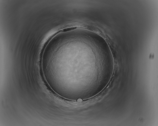 X0000093520006200710121554