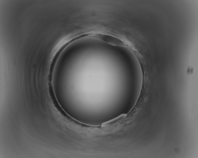X0000093520007200710121554