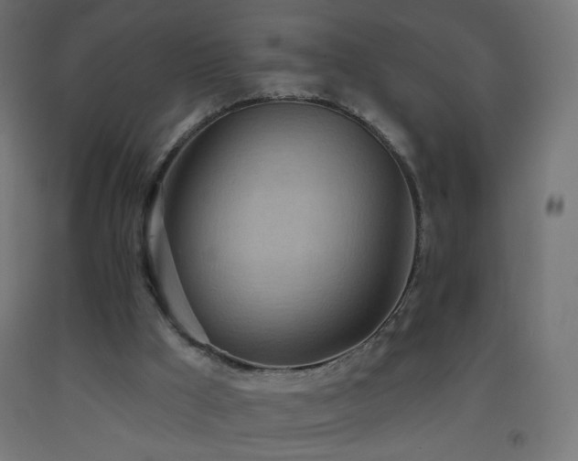 X0000093520009200710121554