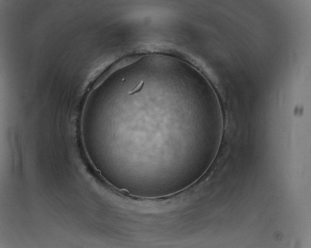X0000093520010200710121554
