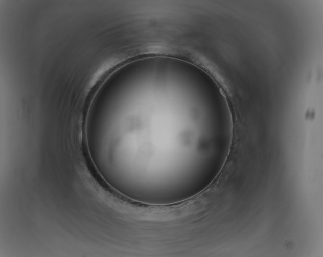 X0000093520011200710121554