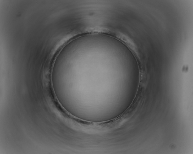 X0000093520012200710121553