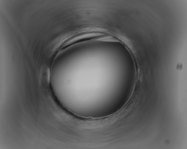 X0000093520013200710121553