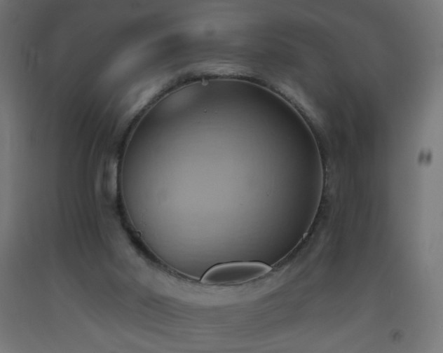 X0000093520014200710121553