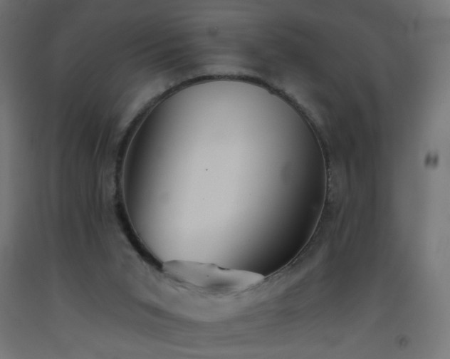 X0000093520015200710121553
