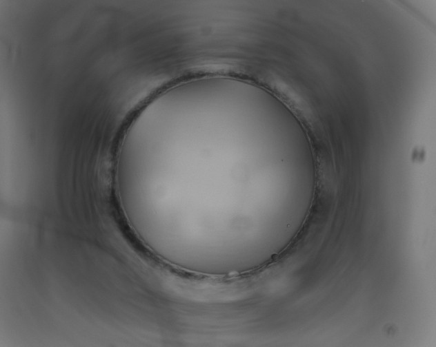 X0000093520016200710121553