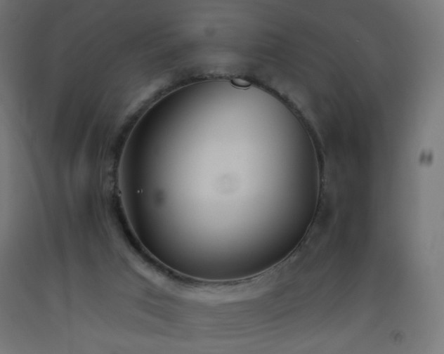 X0000093520017200710121553