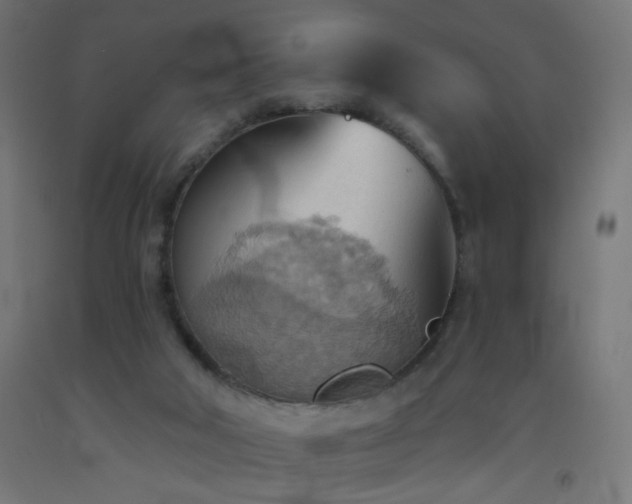 X0000093520018200710121553